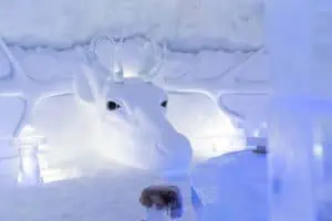 Snowhotel Kirkenes
