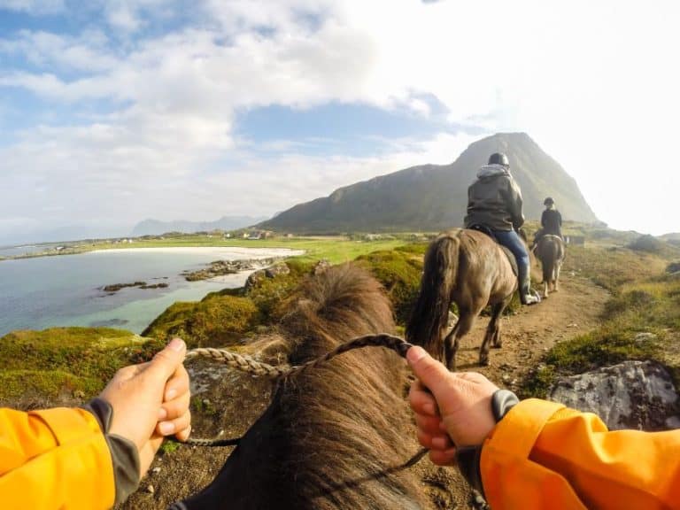 Guided Horse Riding Tour norway