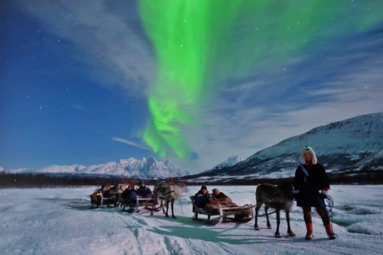 tromso Reindeer Sledding and northern lights