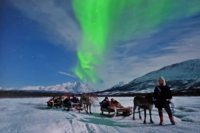 tromso Reindeer Sledding and northern lights