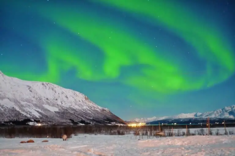 tromsø guided walking tour