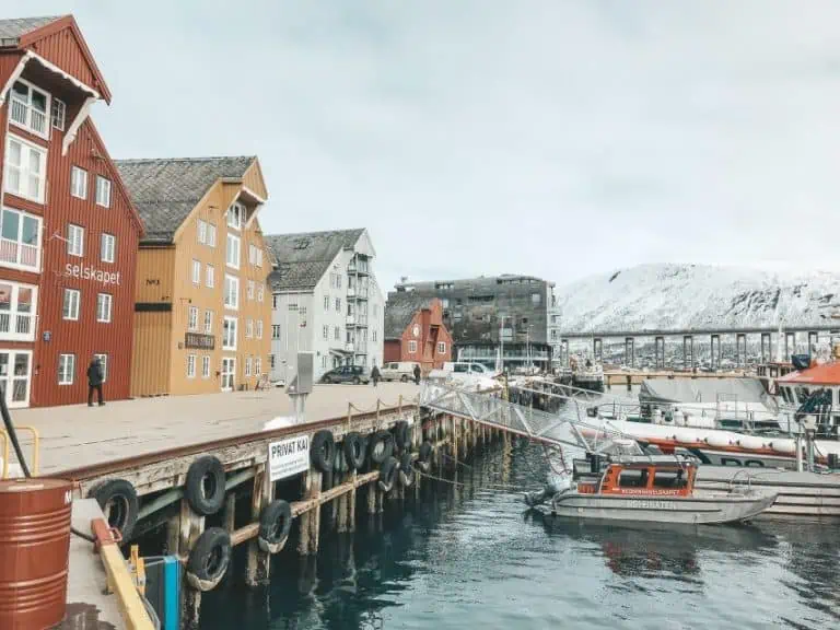 tromsø guided walking tour